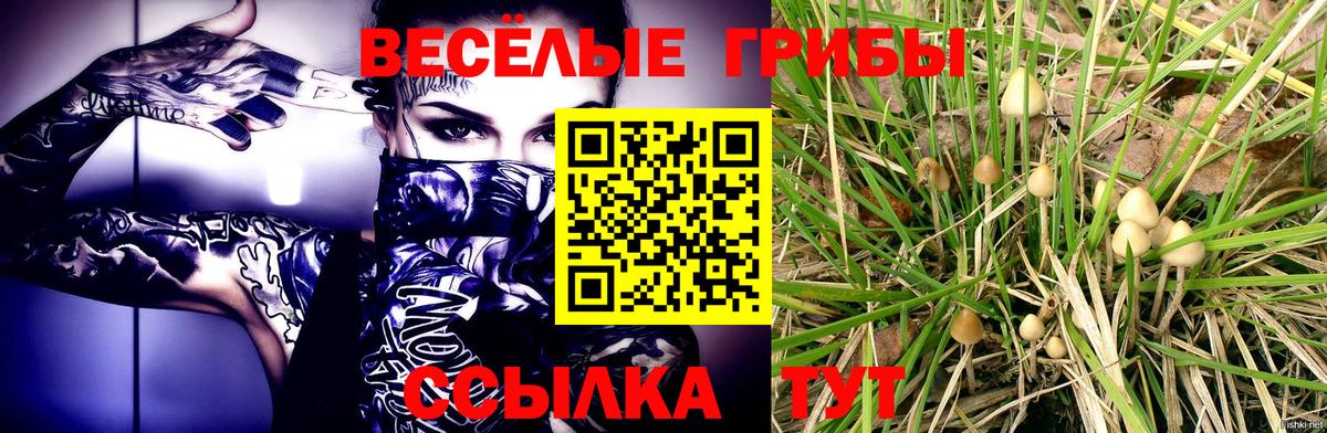 Псилоцибиновые грибы Magic Shrooms Кунгур